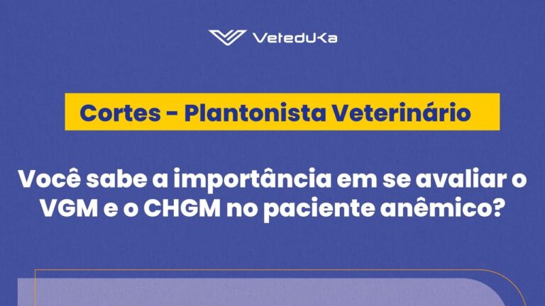 Entendendo o que é V.G.M.