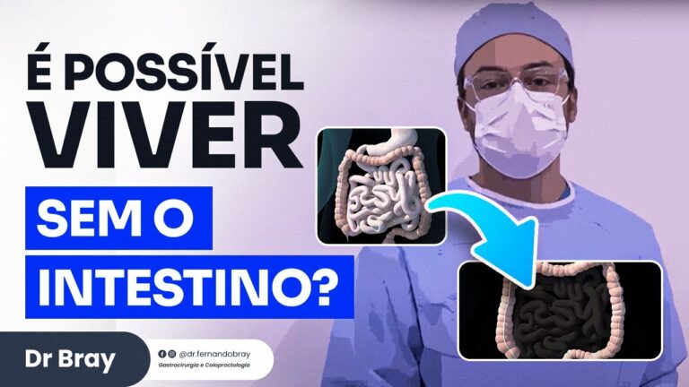 Entendendo o Intestino que Não é Grosso: Funções e Saúde Digestiva
