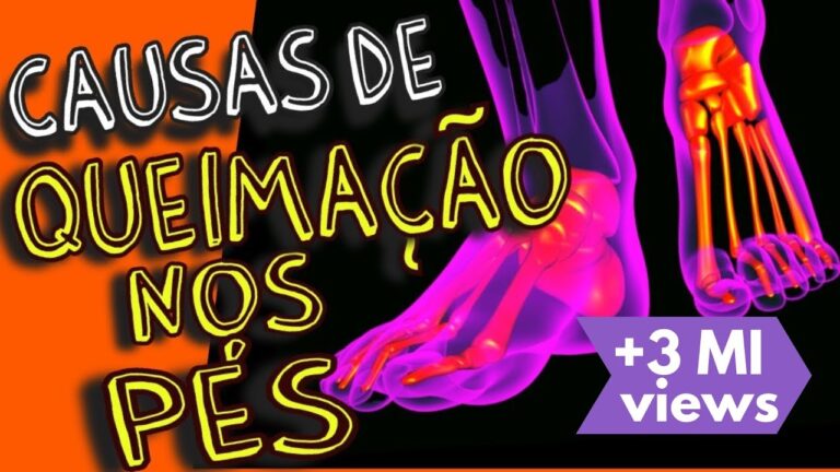 A Importância do PQ e do PE na Vida das Formigas