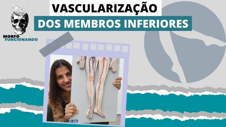 Import&acirc;ncia da Veia Arterial na Perna para a Sa&uacute;de Circulat&oacute;ria