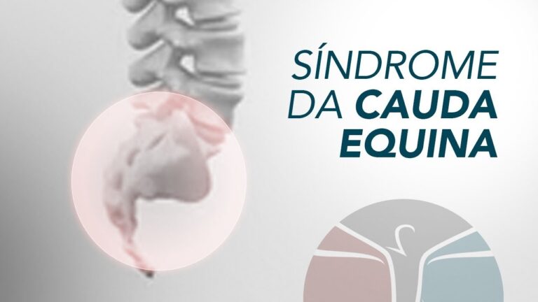 Calda Equina: Benefícios e Aplicações na Saúde Animal