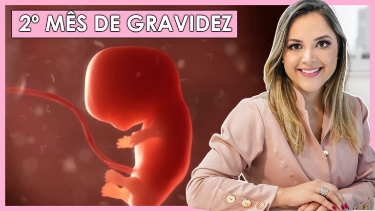 Ultrassom de Bebê: O Que Esperar aos 2 Meses