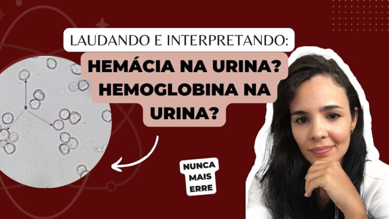 Hem&aacute;cias 3 por Campo: Entendendo a Interpreta&ccedil;&atilde;o e Import&acirc;ncia