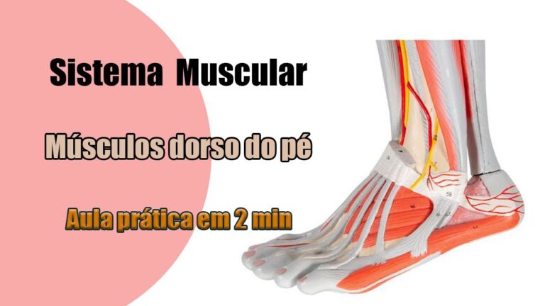 Cuidados Essenciais para a Saúde do Dorso do Pé