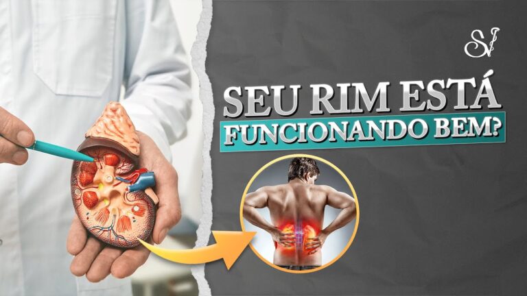 Exames para Avaliar a Fun&ccedil;&atilde;o Renal