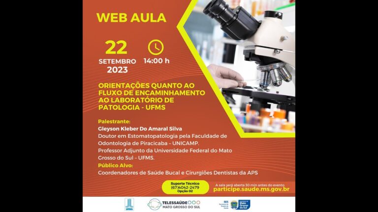 Fluxo por Patologia: Otimização e Análise Eficiente