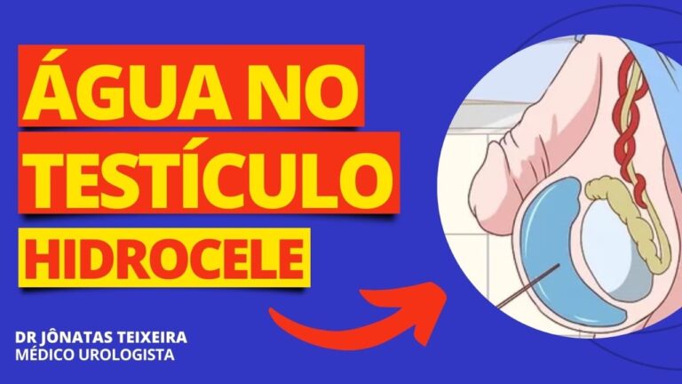 Impactos da Exposição à Água nos Testículos