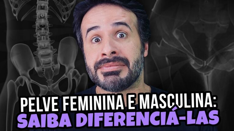 Anatomia e Fun&ccedil;&otilde;es dos &Oacute;rg&atilde;os da Pelve Masculina
