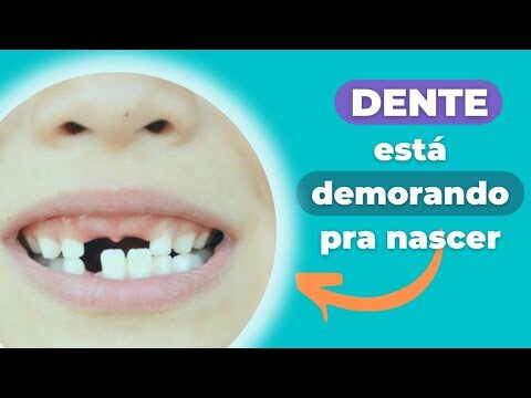 Tempo de Crescimento dos Dentes: Quanto Demora?