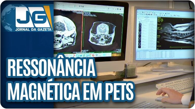 Preço da Ressonância Magnética para Cães