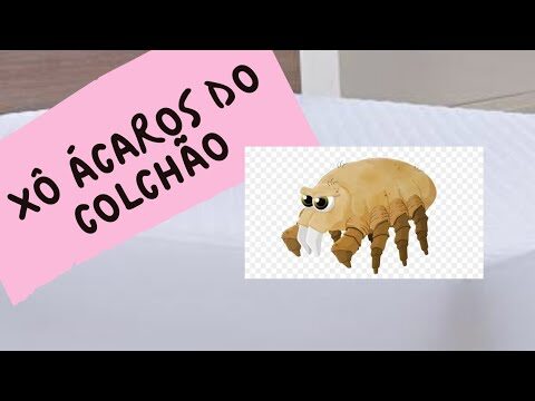 Como Identificar Ácaros no Colchão