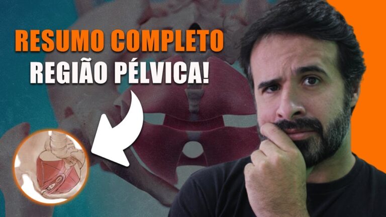 Entendendo a Pelve no Corpo Humano