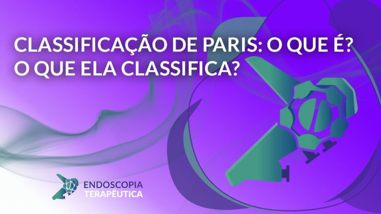 Polipo Paris: Explorando o 0-is na Culinária Contemporânea