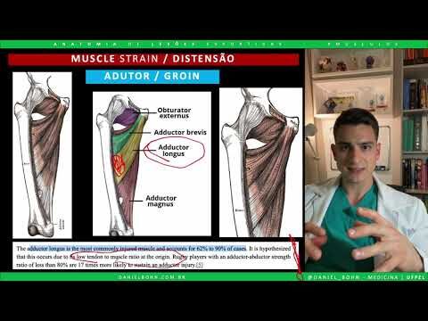 Prevenção e Tratamento da Lesão nos Adutores da Coxa