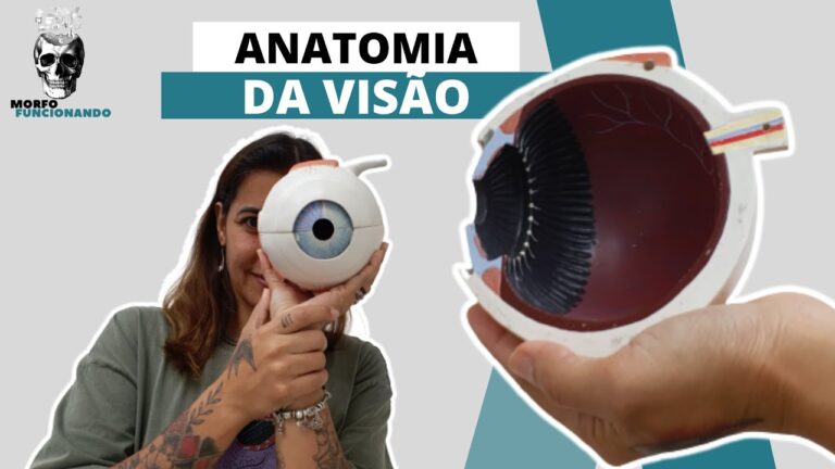 Explorando as Orbitas dos Olhos: Estrutura e Fun&ccedil;&atilde;o