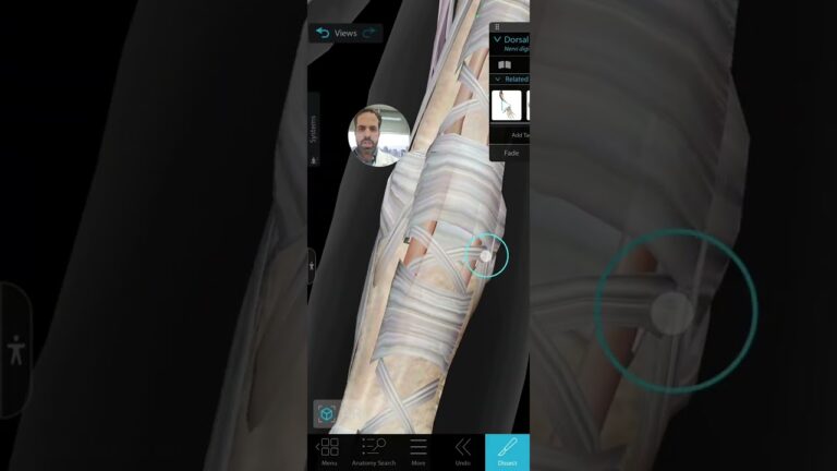 Importância do Ligamento dos Dedos da Mão na Mobilidade e Saúde Articular