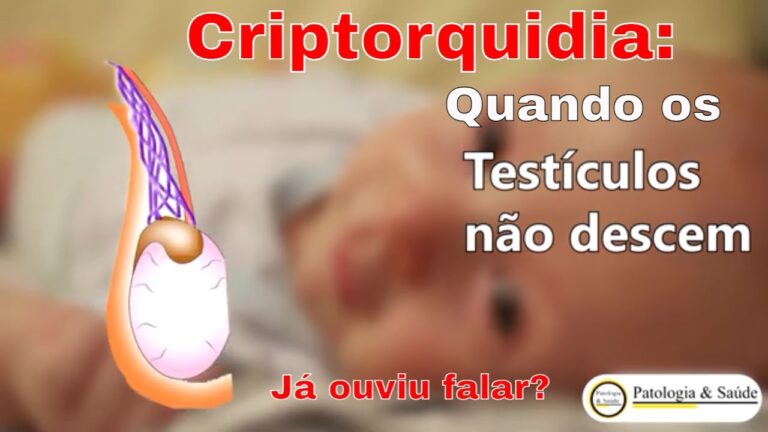 Quando os Testículos Descendem: Entenda o Processo Natural