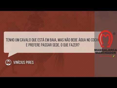 Quantos Dias um Cavalo Pode Sobreviver Sem &Aacute;gua?