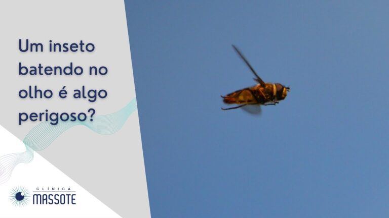O que Fazer com um Mosquito no Olho?