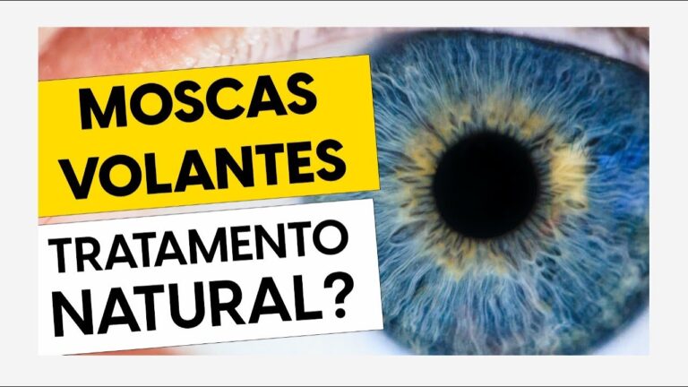 Soluções Eficazes para Moscas Volantes
