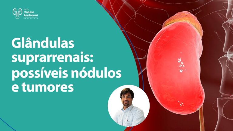 Consequ&ecirc;ncias da Retirada da Gl&acirc;ndula Supra-Renal