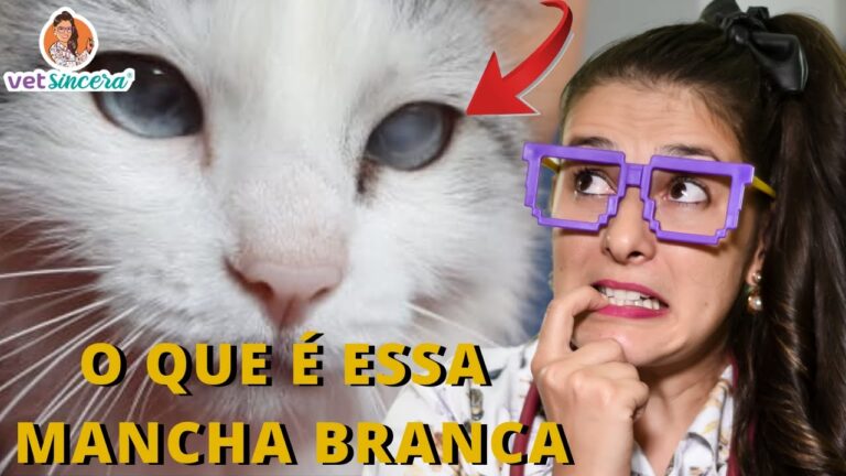 Gato com Mancha no Olho: Causas e Cuidados Essenciais