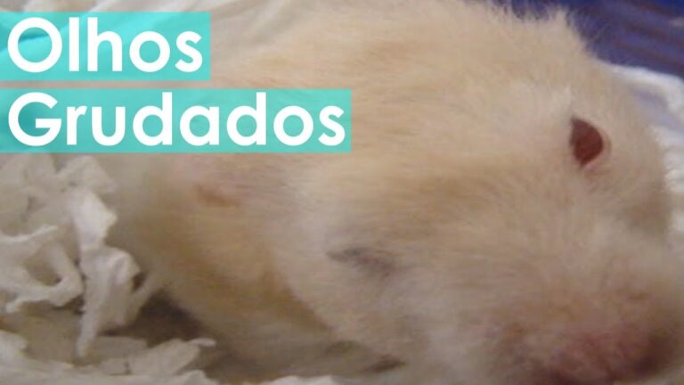 Olhos Colados ao Acordar: Causas e Soluções