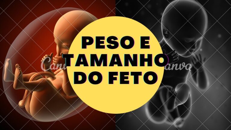 Entendendo o Tamanho do Bebê: Fatores e Expectativas