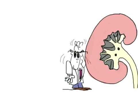 Como Funciona a Diálise: Entenda o Processo e Seus Benefícios