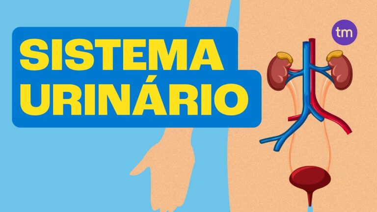 Saúde do Trato Urinário Masculino: Cuidados e Prevenção