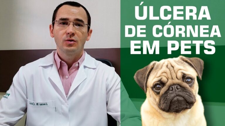 Lesões na Córnea: Causas, Sintomas e Tratamentos