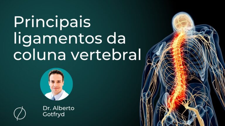 Entendendo o Ligamento Supraespinhoso: Função e Importância na Anatomia Humana