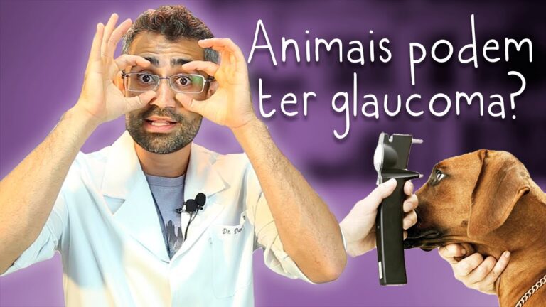 Cachorro com Glaucoma: Como Identificar e Aliviar a Dor