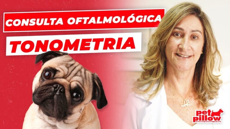 Transformação da Úlcera de Córnea em Cães: Antes e Depois