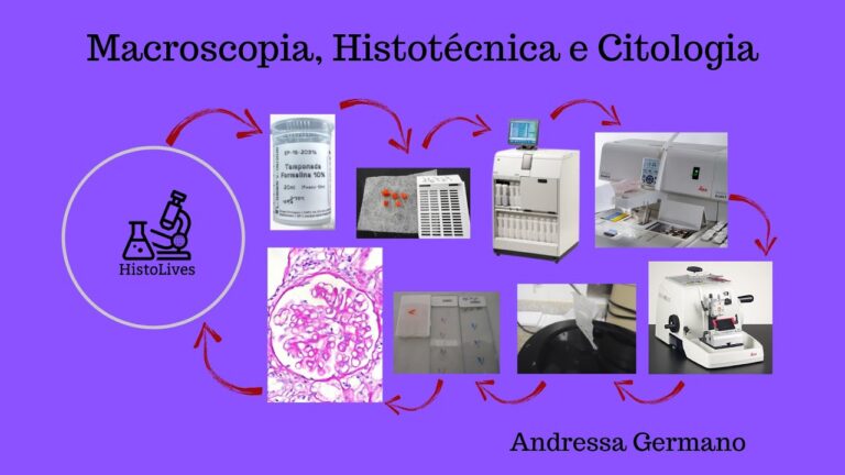 Avanços na Macroscopia de Biópsia: Precisão e Eficácia na Diagnóstico Médico