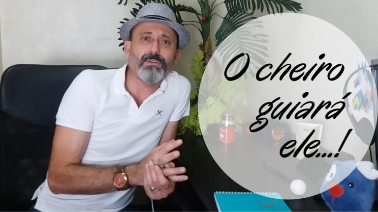 Custos da Cirurgia de Catarata em Cães
