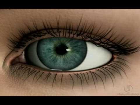 Entendendo Astigmatismo e Miopia: Causas e Tratamentos