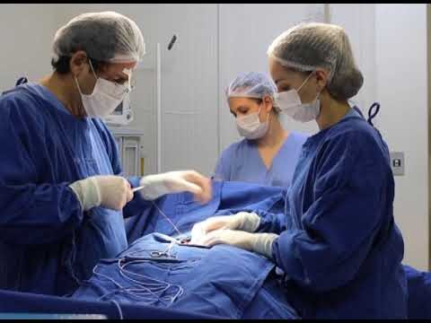 Cirurgia para Correção de Testículo Descendente